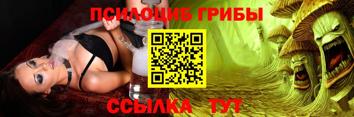 купить   Галлюциногенные грибы Psilocybine cubensis  Вход с VPN  Дзержинский 
