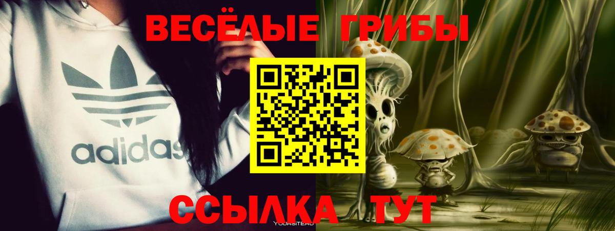 Галлюциногенные грибы Magic Shrooms Дзержинский